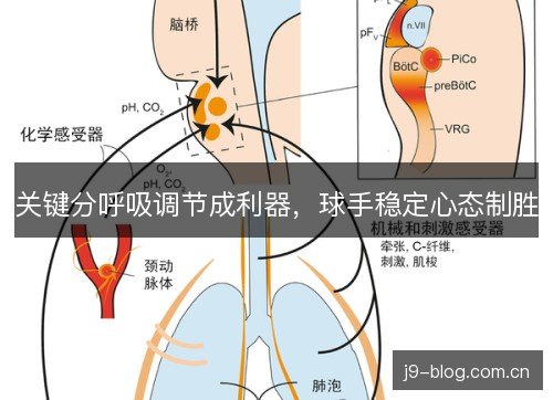 关键分呼吸调节成利器,球手稳定心态制胜 关键分呼吸调节成利器,球手稳定心态制胜